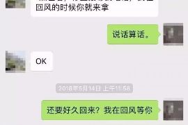 保亭债务清欠服务