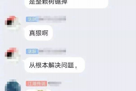 保亭贷款清欠服务